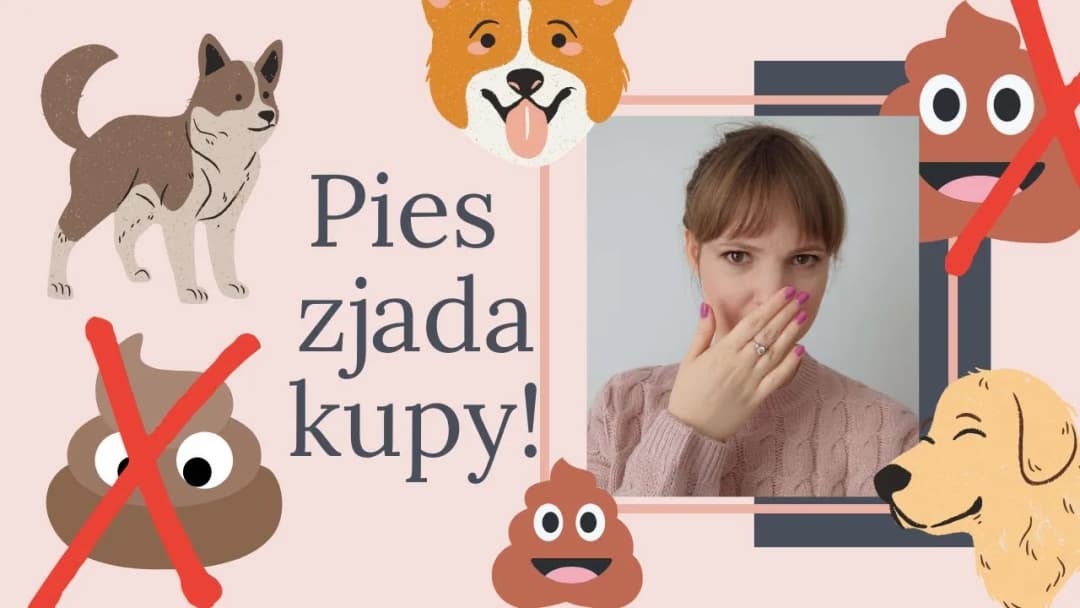 Dlaczego szczeniak zjada swoje odchody i co z tym zrobić, aby pomóc?