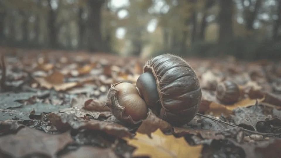 Czy pies może jeść kasztany: groźne skutki dla zdrowia Twojego pupila