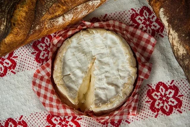 Uwaga! Nigdy nie dawaj psu sera camembert - poznaj groźne skutki uboczne