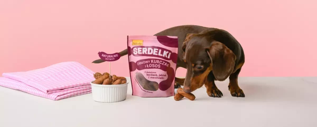 Czy pies może jeść parówki - prawda o szkodliwości karmienia pupila