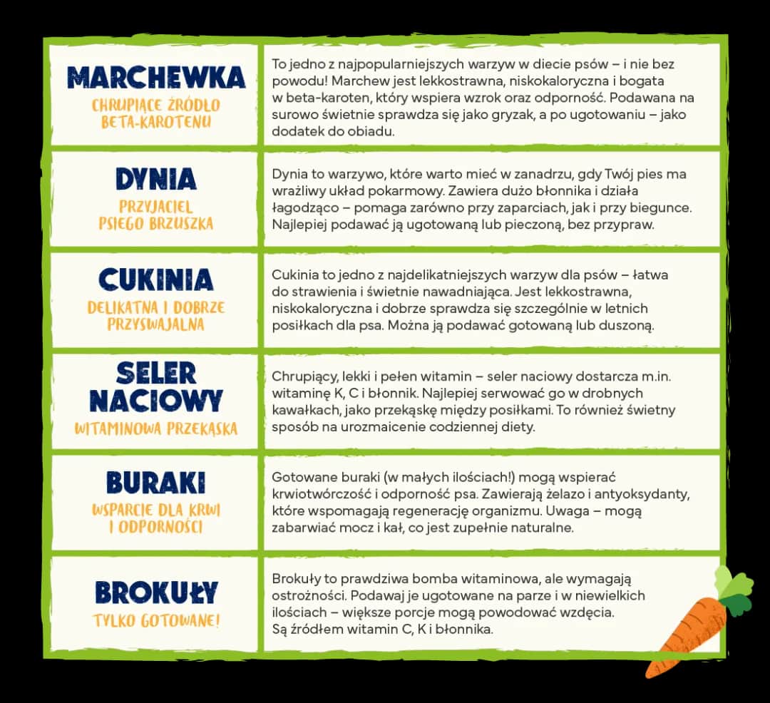 Co pies może jeść a czego nie: lista bezpiecznych produktów dla pupila