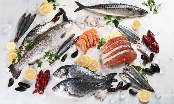 Czy pies może jeść łososia wędzonego? Obalamy szkodliwe mity o diecie psa