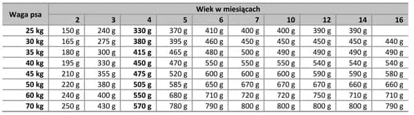 Jak wiek psa wpływa na to, ile powinien jeść szczeniak? Zobacz tabelę!