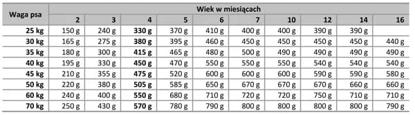 Jak wiek psa wpływa na to, ile powinien jeść szczeniak? Zobacz tabelę!