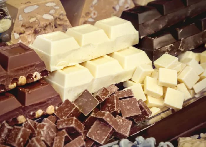 Pies zjadł czekoladę? Działaj szybko: 5 kroków ratunkowych