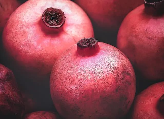 Czy pies może jeść granat? Poznaj prawdę o bezpieczeństwie tego owocu