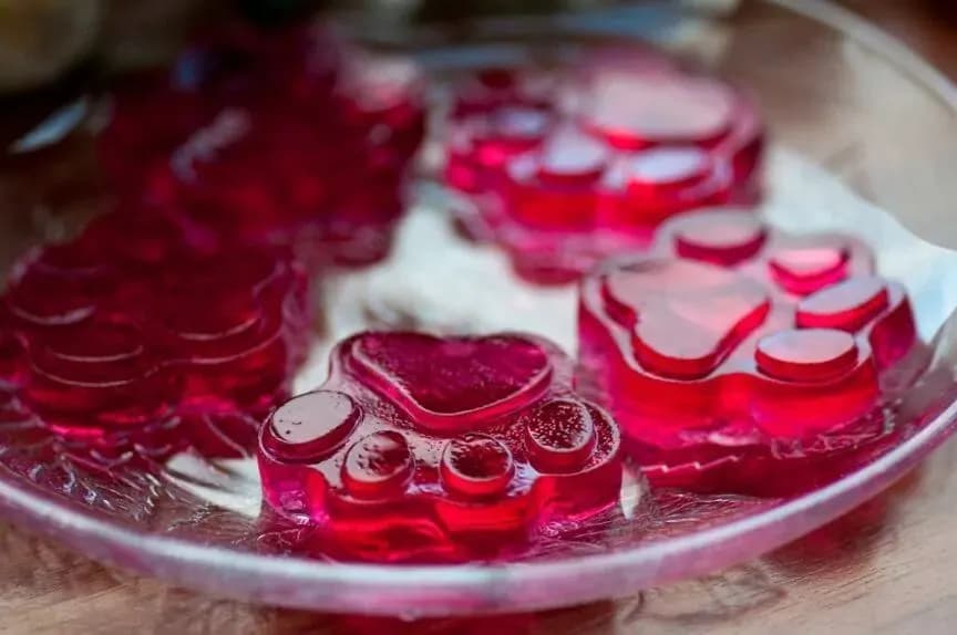 Czy pies może jeść żelki - Poznaj zagrożenia dla zdrowia czworonoga