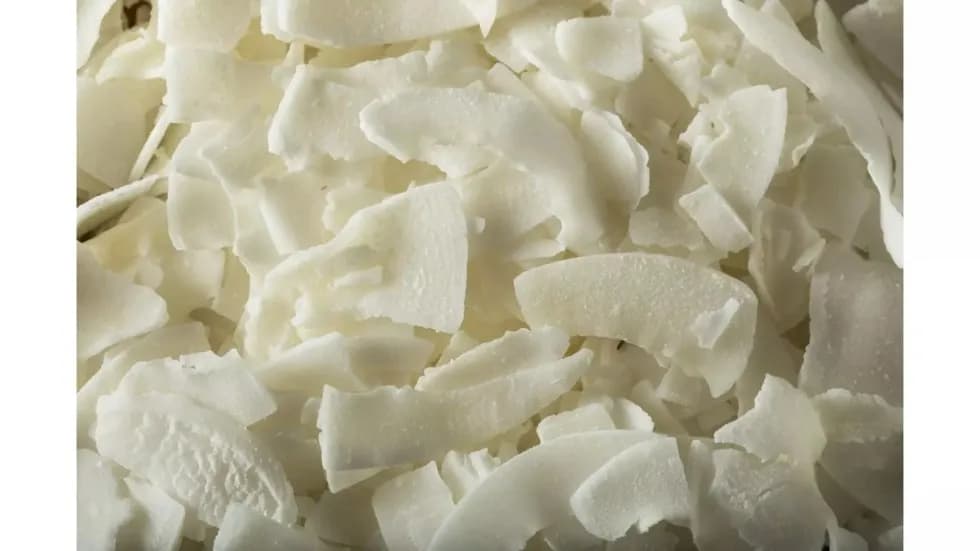 Wiórki kokosowe dla psa - poznaj bezpieczne dawkowanie i korzyści zdrowotne