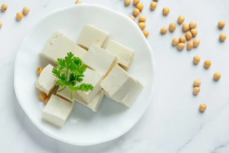Tofu w diecie psa - czy można karmić i jakie ilości są bezpieczne?